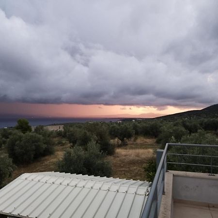 Panoramic View Summerhouse Loukissia Exterior photo