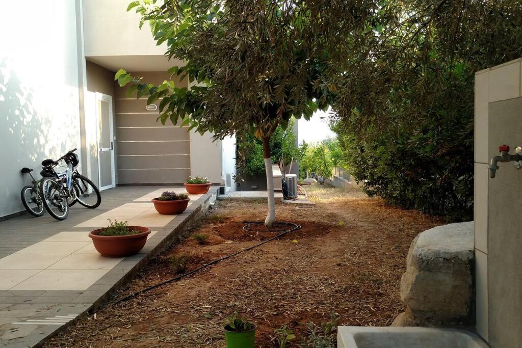 Panoramic View Summerhouse Loukissia Exterior photo