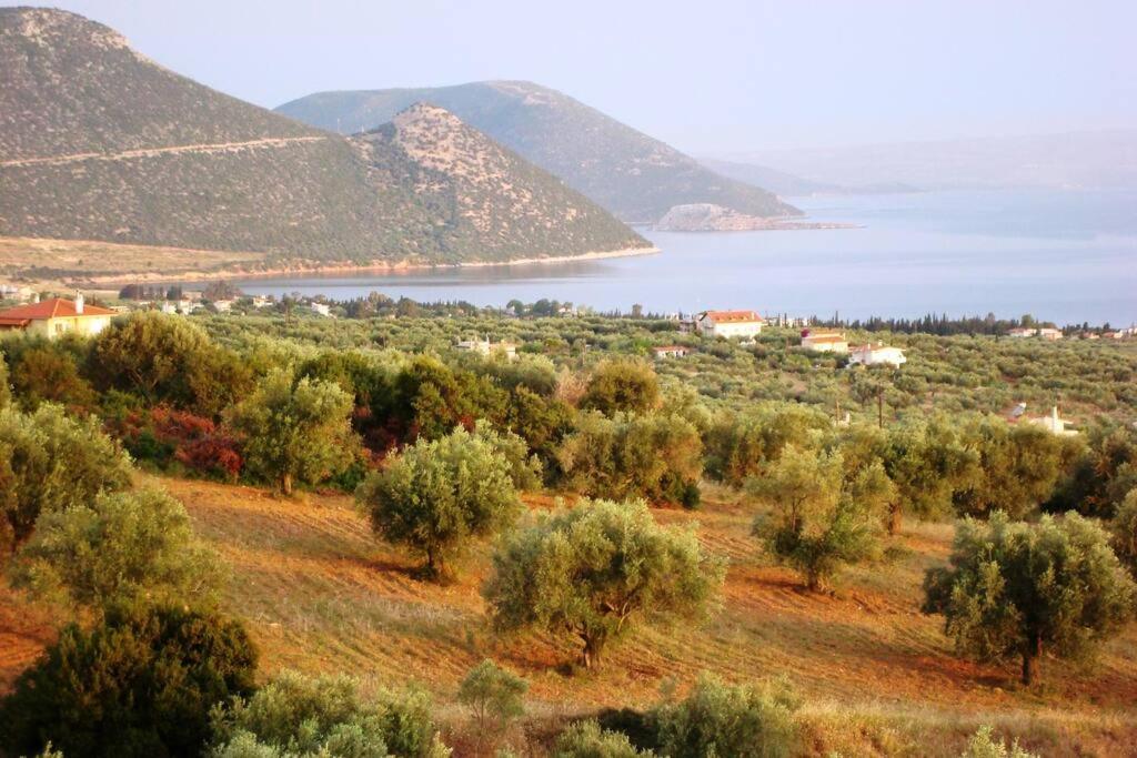 Panoramic View Summerhouse Loukissia Exterior photo